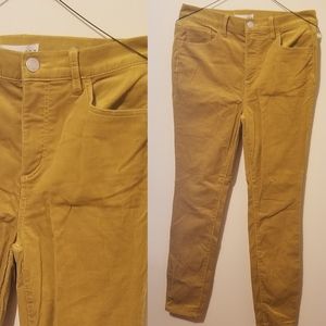 LOFT high waisted pants